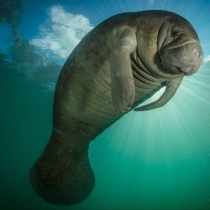 Meet your Posher, Kris